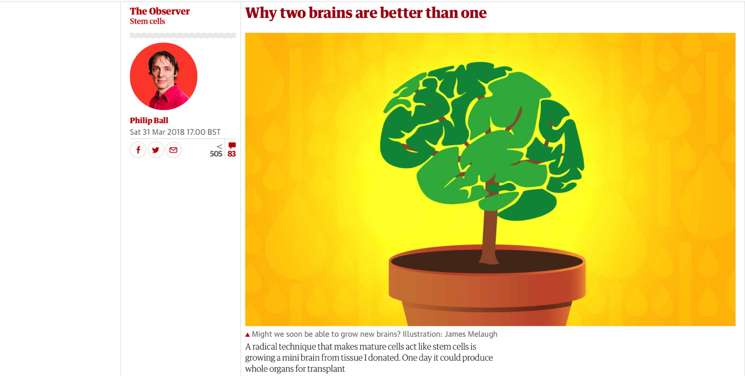 TheGuardian