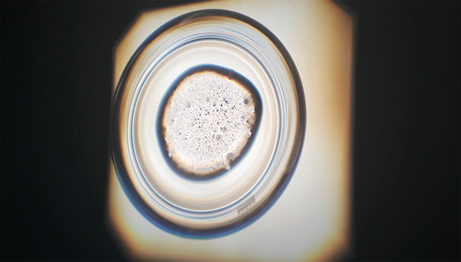 cells_OHP_Dundee