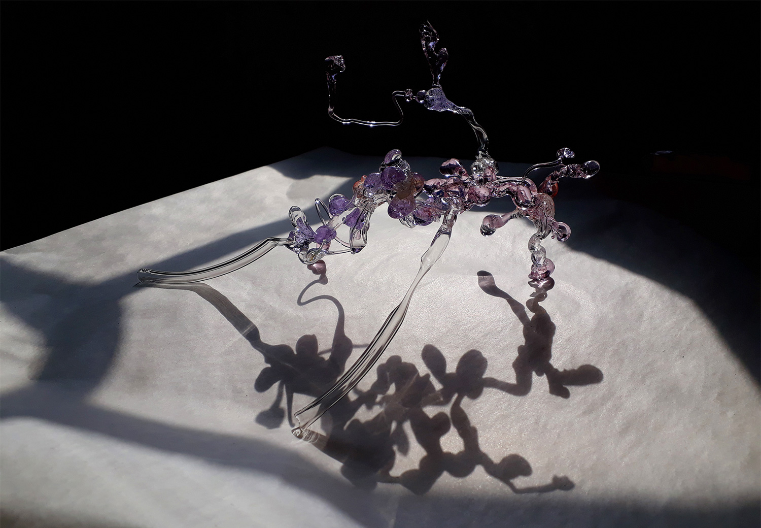 molecular-20180405_124626_molecular