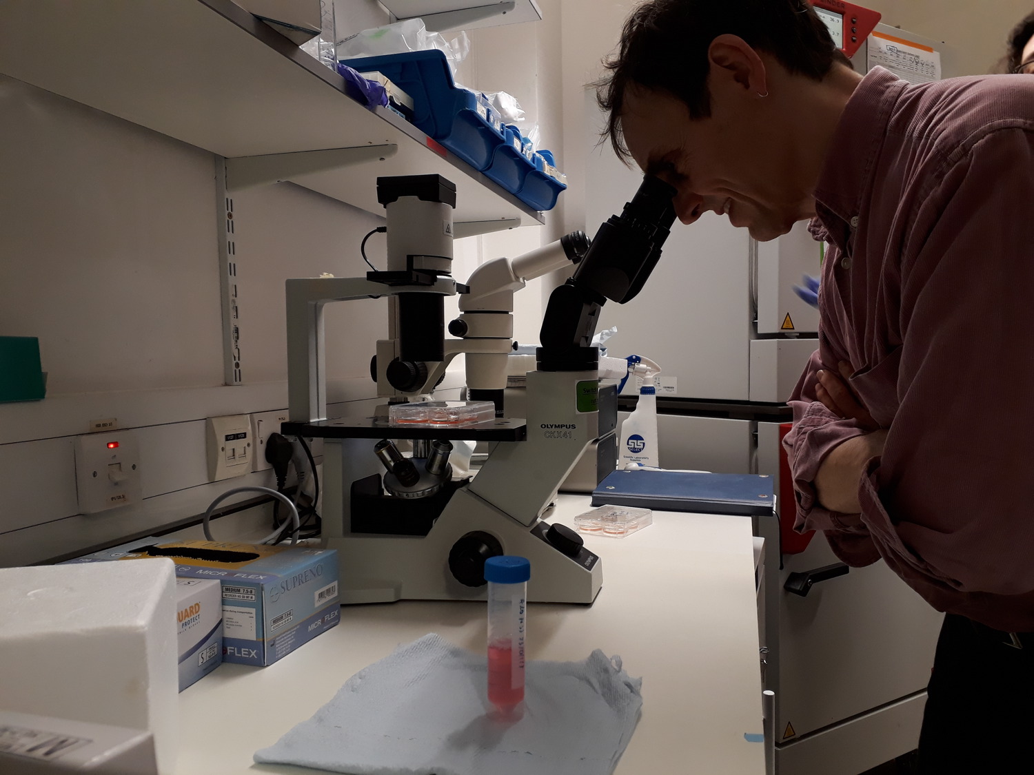 Philstudyingcells20180123_172721 copy