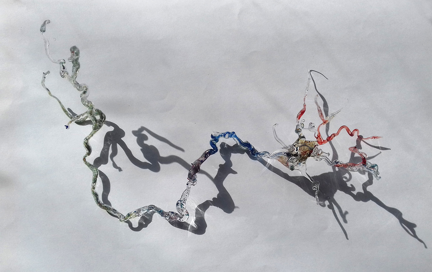 studiesforneurons_1950729552_3755607