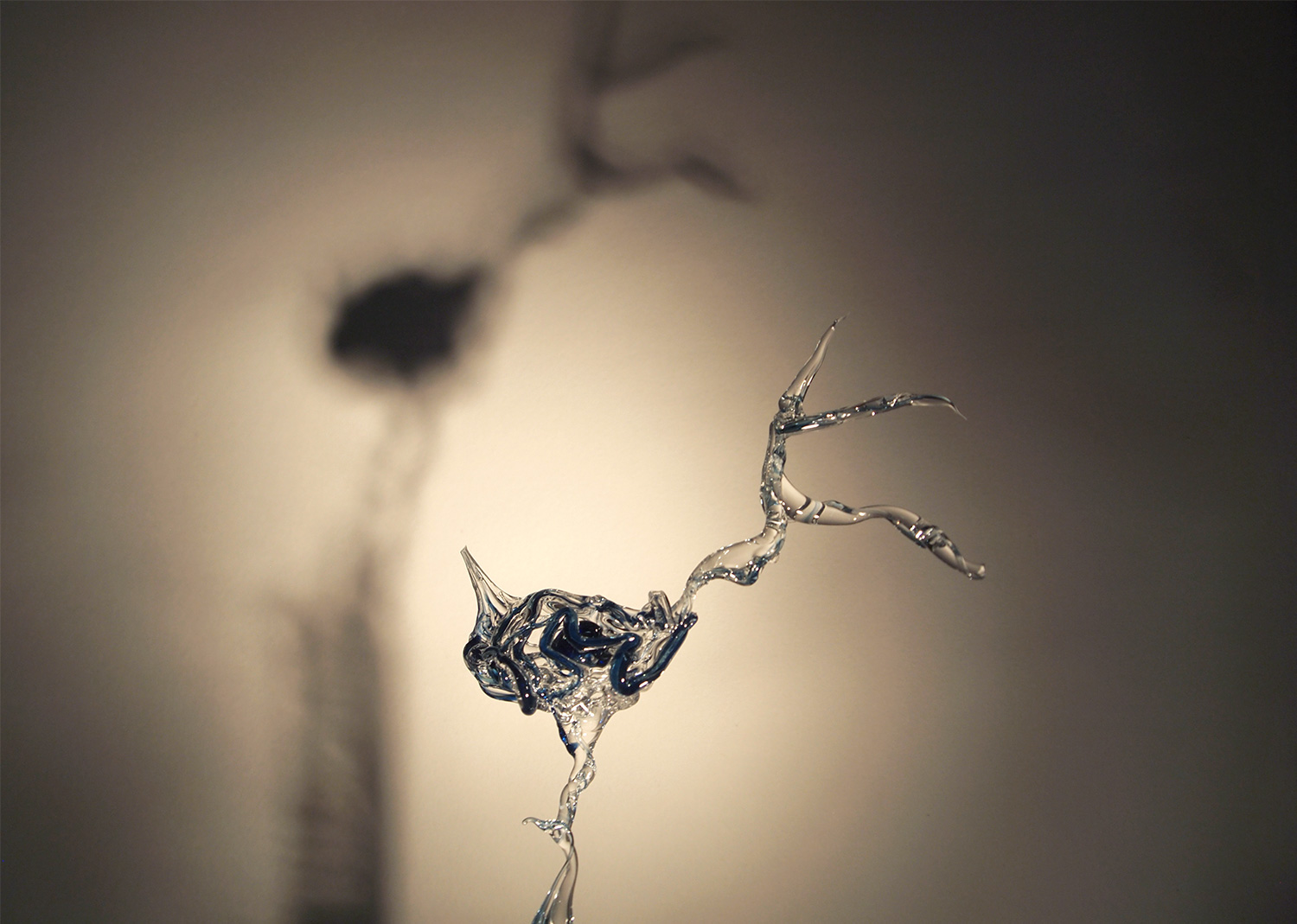Cajalneuron_P1012990_web