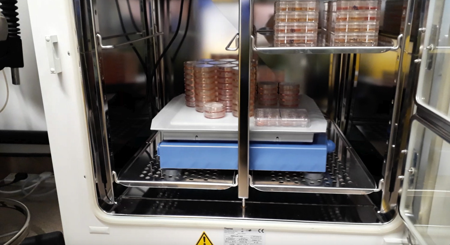 Incubator 2018-03-27_Shaker