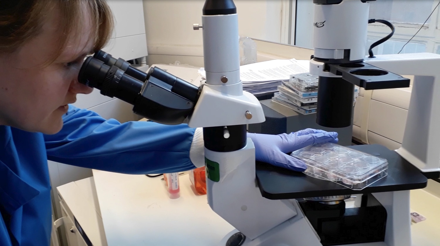 Selina_microscope_2018-03-24 at 17.38.28 copy