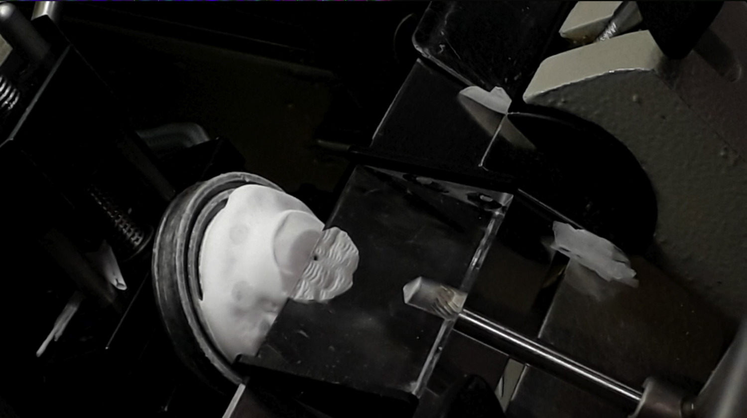 slicing organoid2