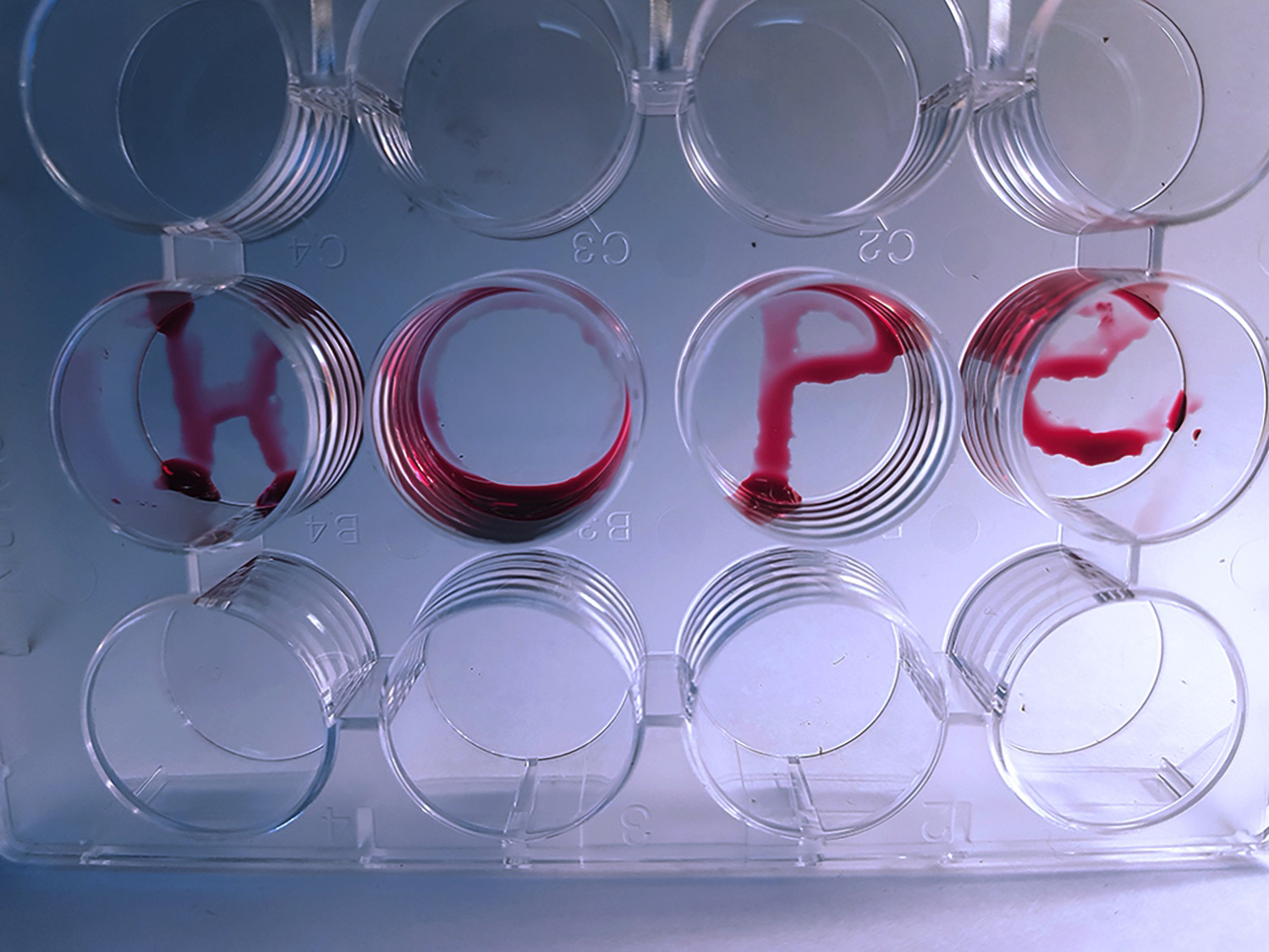 hope20211005093734web
